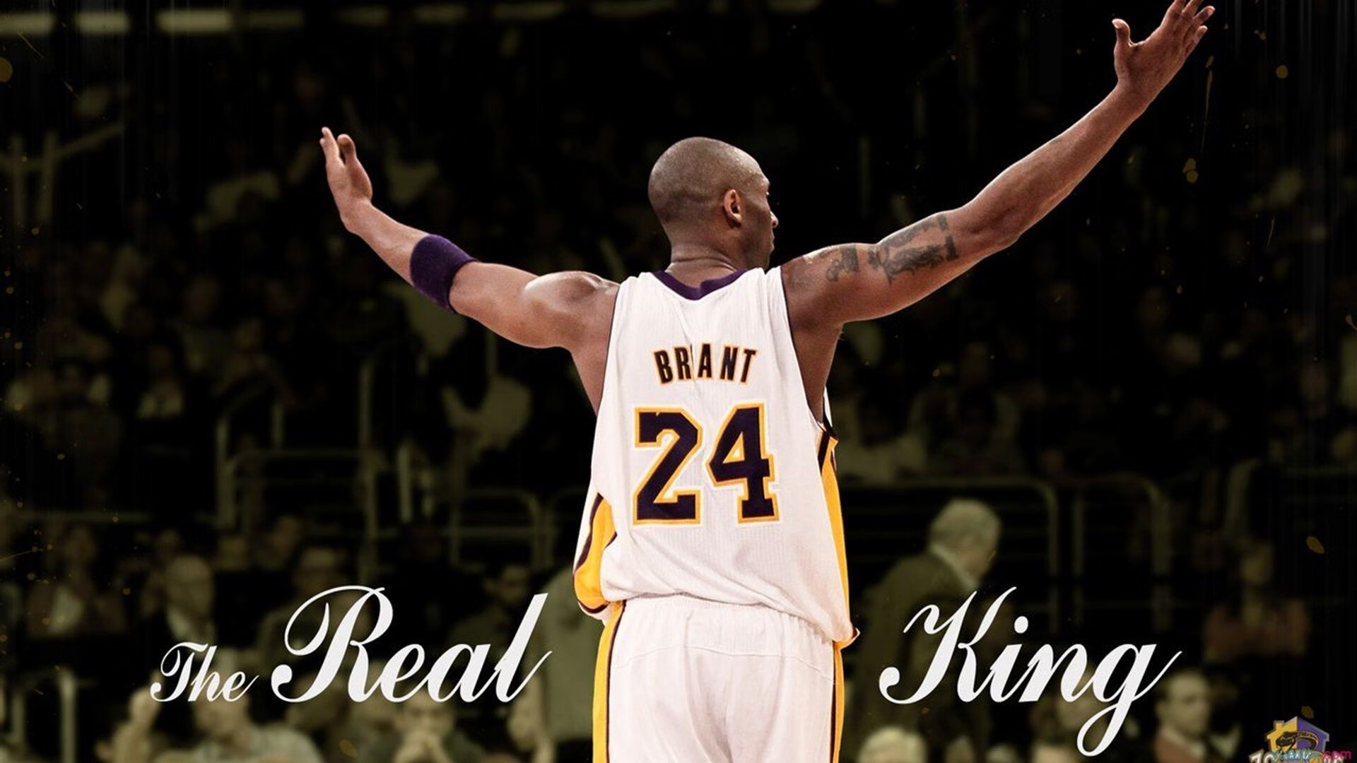 中立代表队B混合接力决赛冲刺抢眼